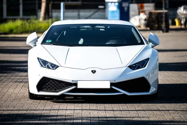 Casino Dotty Bingo Application Android/iOS